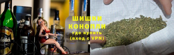 ПСИЛОЦИБИНОВЫЕ ГРИБЫ Балахна