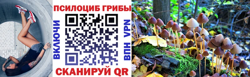 Псилоцибиновые грибы GOLDEN TEACHER  Черноголовка 